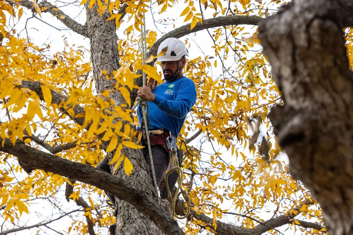 Skilled Storm Damage Cleanup crew working in Newkirk