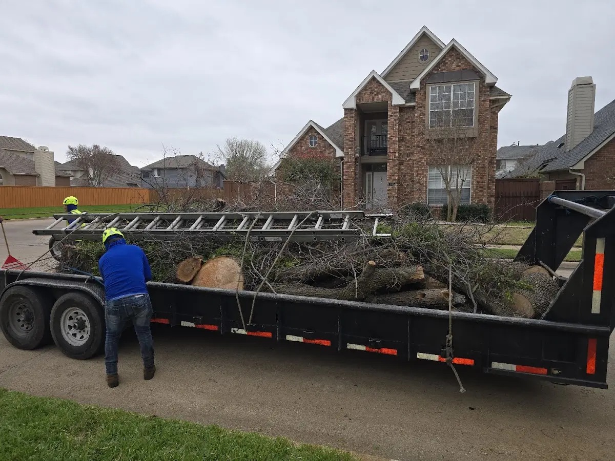 Expert Tree Fertilization with proper safety equipment in Newkirk